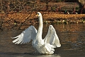 16 02 14_1125_edited-1